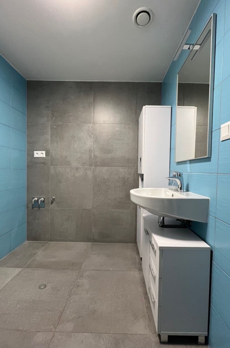 Pronájem bytu 2+kk 55 m², Papírnická, Plzeň, Plzeňský kraj Pronájem bytu 2+kk 55 m², Papírnická, Plzeň, Plzeňský kraj