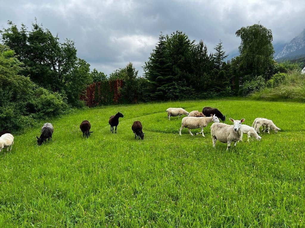 Prodej pozemku 1.300 m², Stollhof, Dolní Rakousko Prodej pozemku 1.300 m², Stollhof, Dolní Rakousko