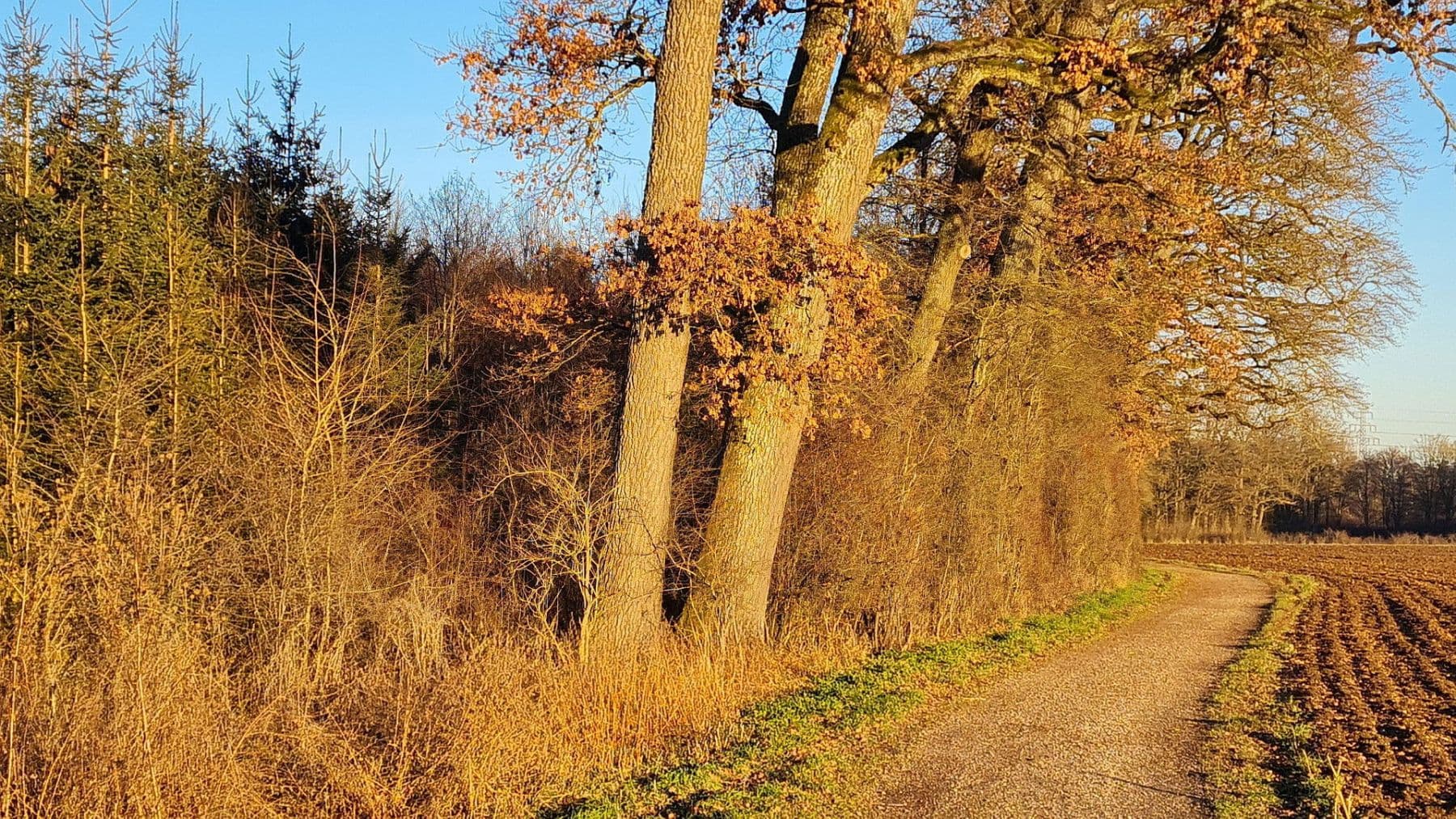 Prodej domu 97 m², pozemek 629 m², Friedrich-Fröbel-Str. 66, Riemerling/Ottobrunn, Bavorsko Prodej domu 97 m², pozemek 629 m², Friedrich-Fröbel-Str. 66, Riemerling/Ottobrunn, Bavorsko