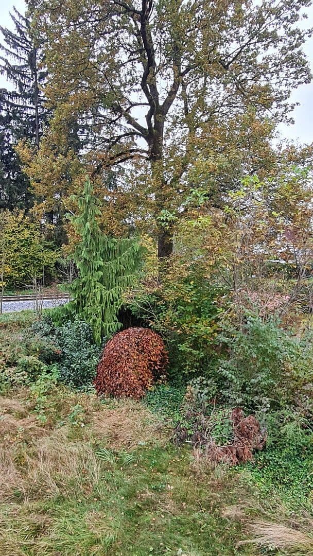 Prodej domu 97 m², pozemek 629 m², Friedrich-Fröbel-Str. 66, Riemerling/Ottobrunn, Bavorsko Prodej domu 97 m², pozemek 629 m², Friedrich-Fröbel-Str. 66, Riemerling/Ottobrunn, Bavorsko