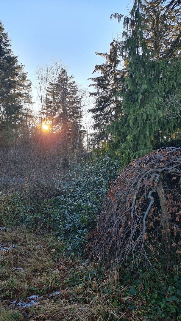 Prodej domu 97 m², pozemek 629 m², Friedrich-Fröbel-Str. 66, Riemerling/Ottobrunn, Bavorsko Prodej domu 97 m², pozemek 629 m², Friedrich-Fröbel-Str. 66, Riemerling/Ottobrunn, Bavorsko