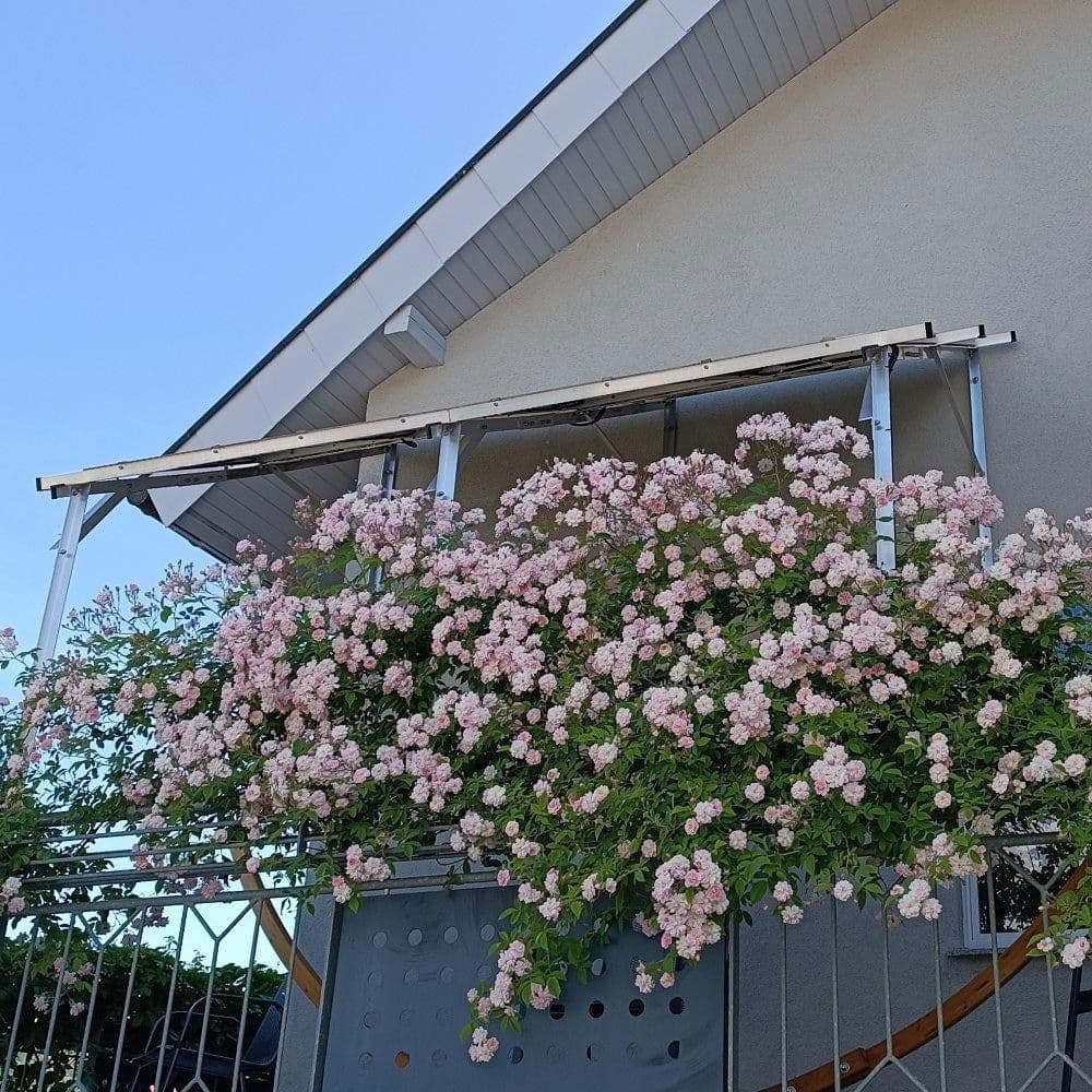 Prodej domu 173 m², pozemek 374 m², Ihringen, Bádensko-Württembersko Prodej domu 173 m², pozemek 374 m², Ihringen, Bádensko-Württembersko