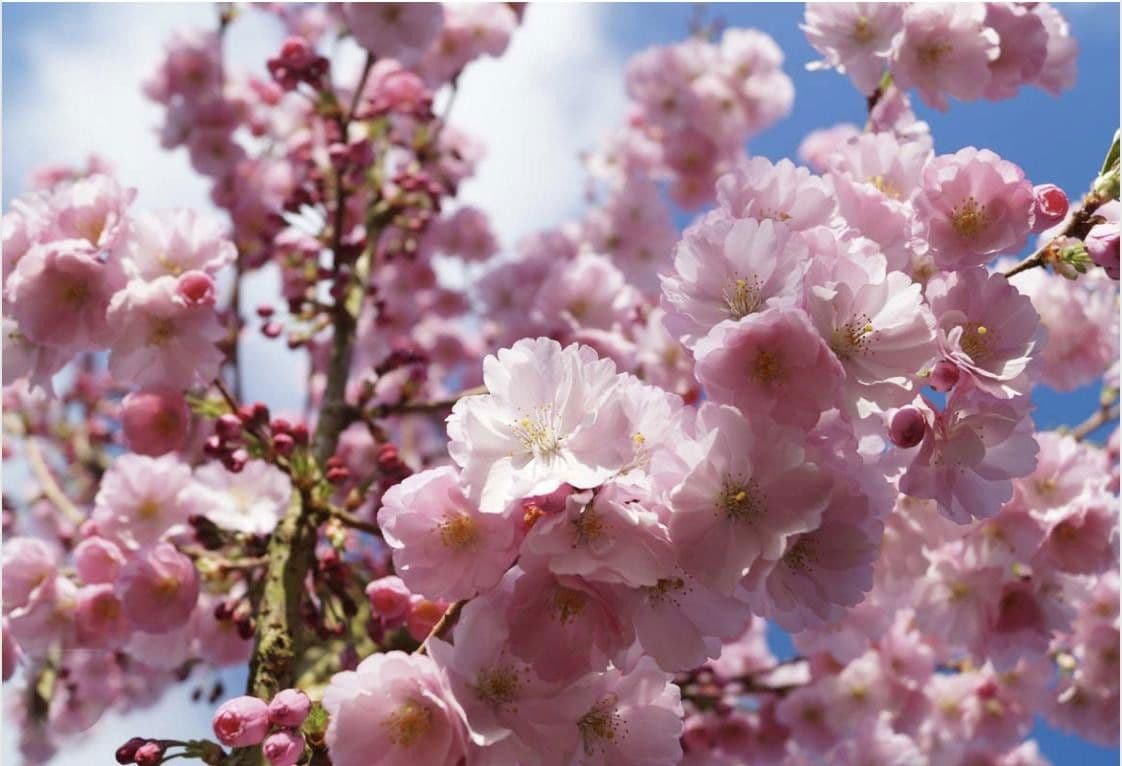 Pronájem domu 130 m², pozemek 359 m², München, Bavorsko Pronájem domu 130 m², pozemek 359 m², München, Bavorsko