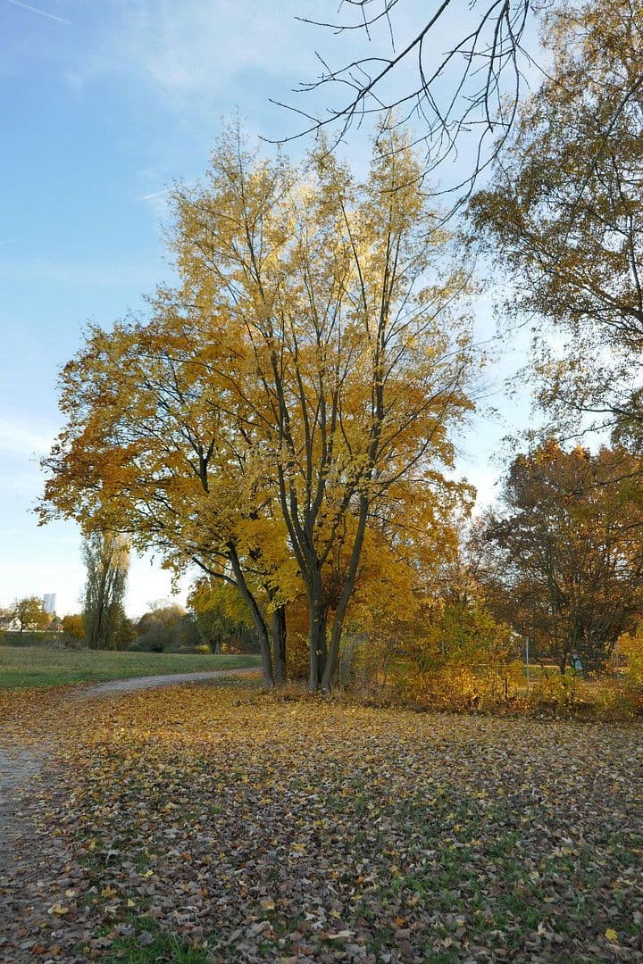 Prodej bytu 2+1 62 m², Helmut-Lederer-Str. 48, Erlangen, Bavorsko Prodej bytu 2+1 62 m², Helmut-Lederer-Str. 48, Erlangen, Bavorsko