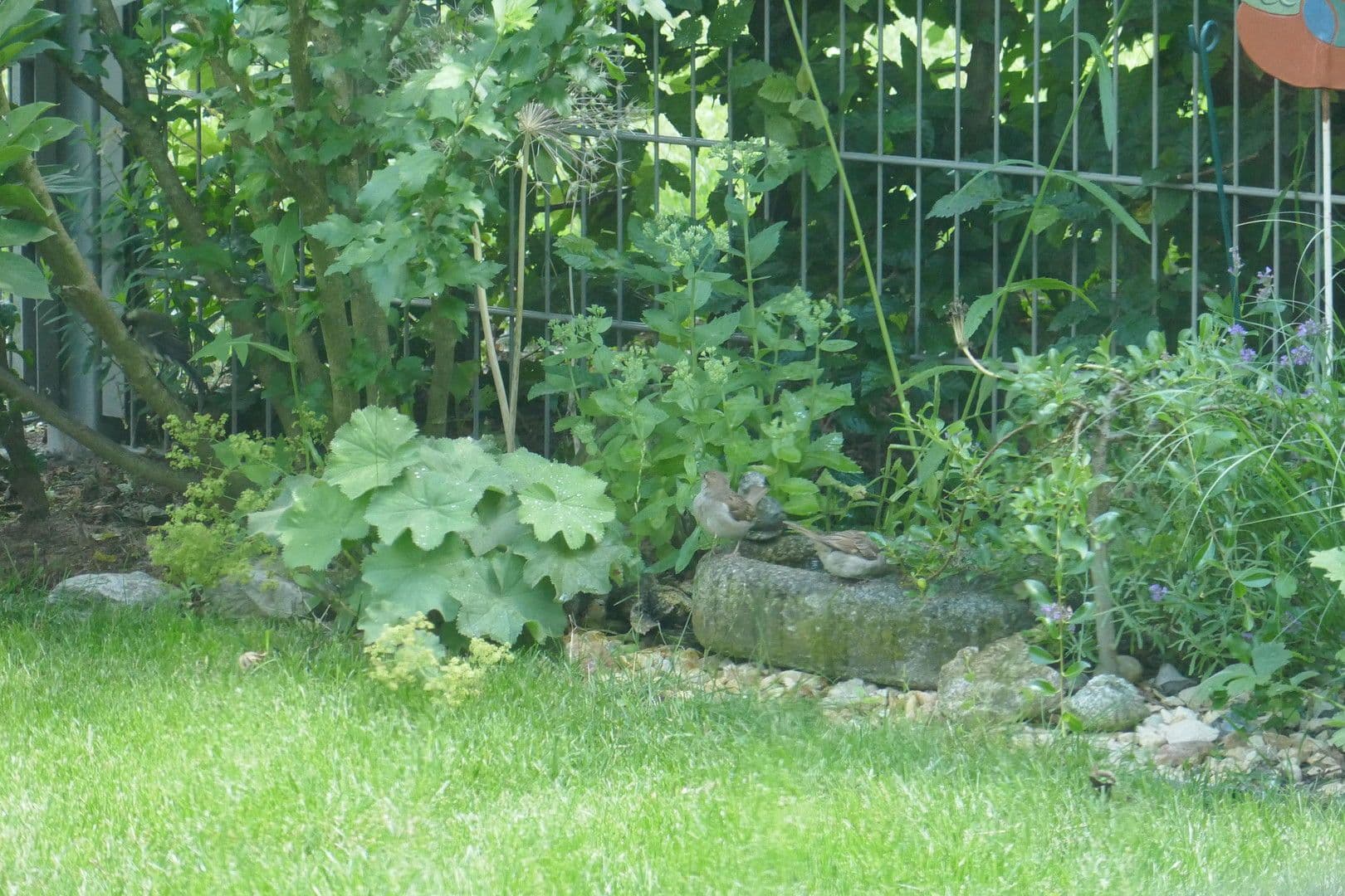 Prodej bytu 2+1 62 m², Helmut-Lederer-Str. 48, Erlangen, Bavorsko Prodej bytu 2+1 62 m², Helmut-Lederer-Str. 48, Erlangen, Bavorsko