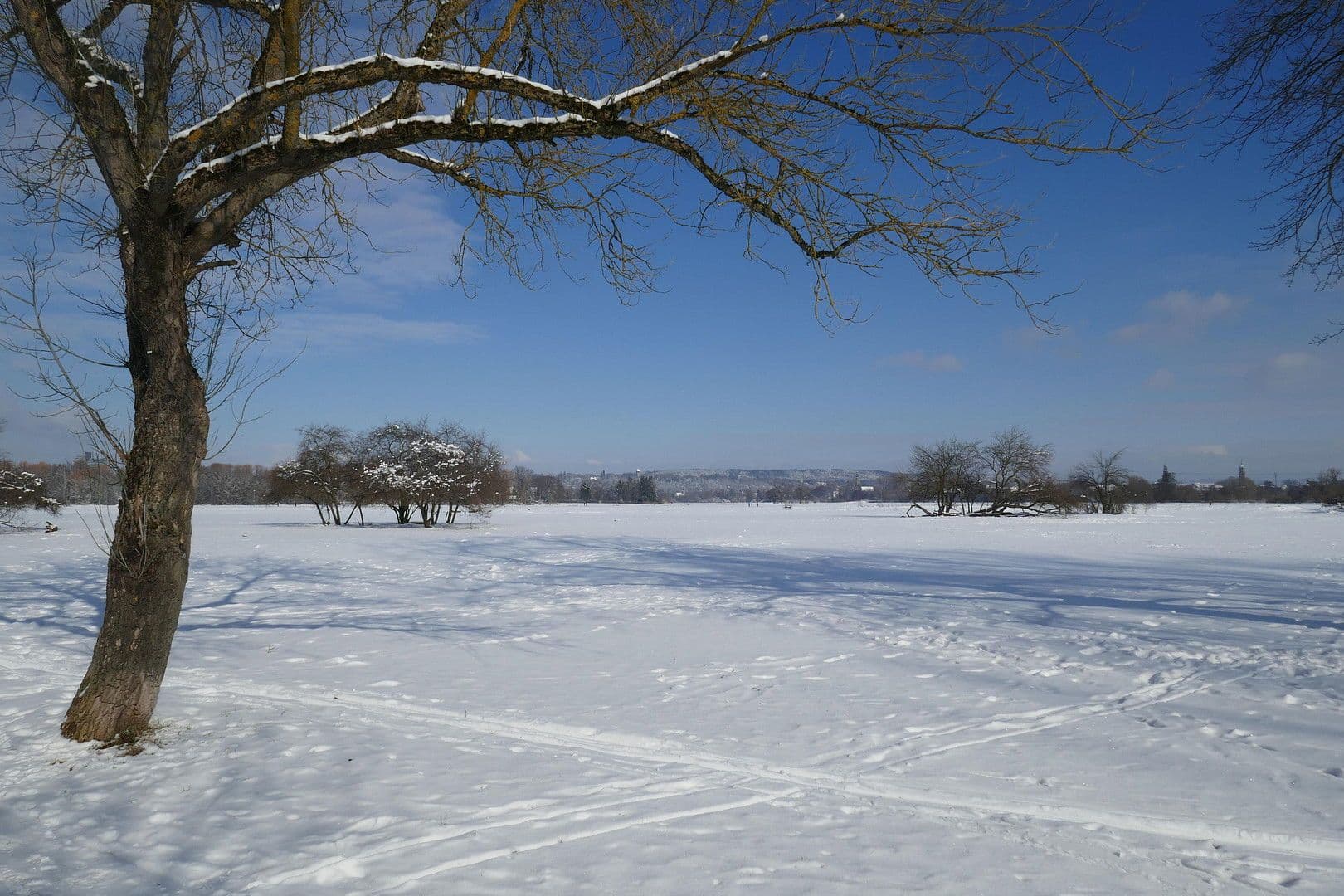 Prodej bytu 2+1 62 m², Helmut-Lederer-Str. 48, Erlangen, Bavorsko Prodej bytu 2+1 62 m², Helmut-Lederer-Str. 48, Erlangen, Bavorsko