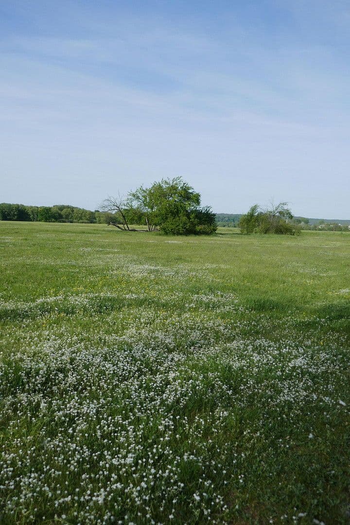 Prodej bytu 2+1 62 m², Helmut-Lederer-Str. 48, Erlangen, Bavorsko Prodej bytu 2+1 62 m², Helmut-Lederer-Str. 48, Erlangen, Bavorsko