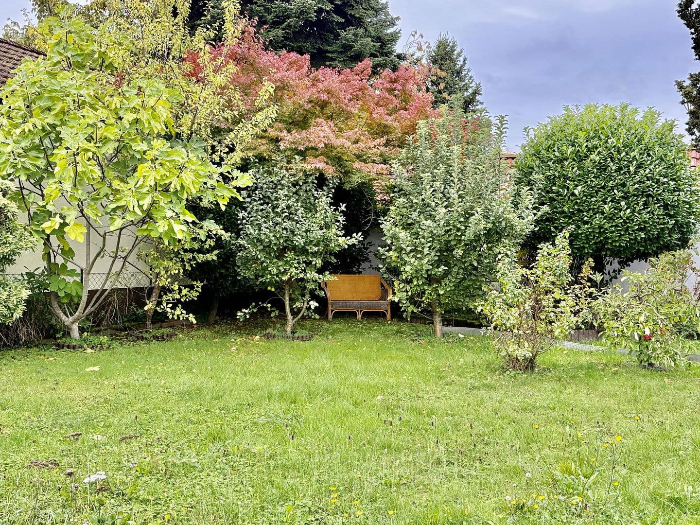 Prodej domu 168 m², pozemek 533 m², Bad Bergzabern, Porýní-Falc Prodej domu 168 m², pozemek 533 m², Bad Bergzabern, Porýní-Falc