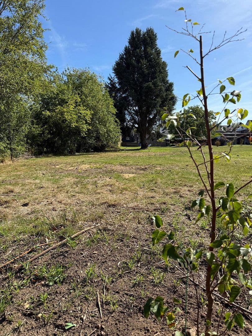 Prodej domu 145 m², pozemek 1.605 m², Bornheim, Severní Porýní-Vestfálsko Prodej domu 145 m², pozemek 1.605 m², Bornheim, Severní Porýní-Vestfálsko