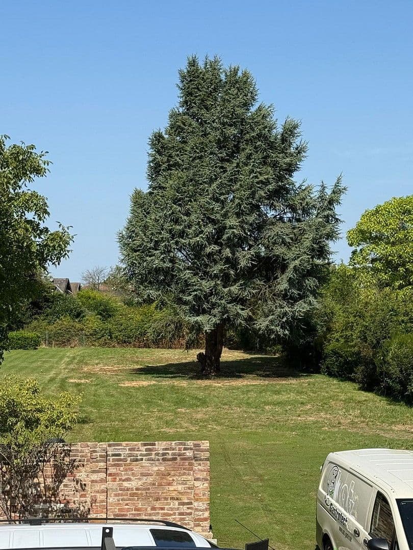 Prodej domu 145 m², pozemek 1.605 m², Bornheim, Severní Porýní-Vestfálsko Prodej domu 145 m², pozemek 1.605 m², Bornheim, Severní Porýní-Vestfálsko