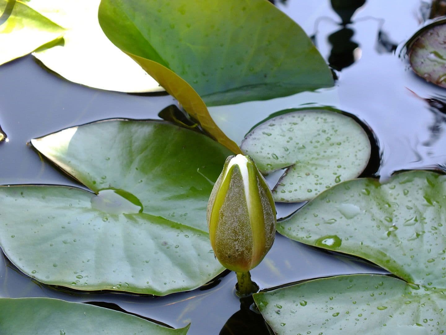 Prodej domu 110 m², pozemek 763 m², Nordhalben, Bavorsko Prodej domu 110 m², pozemek 763 m², Nordhalben, Bavorsko