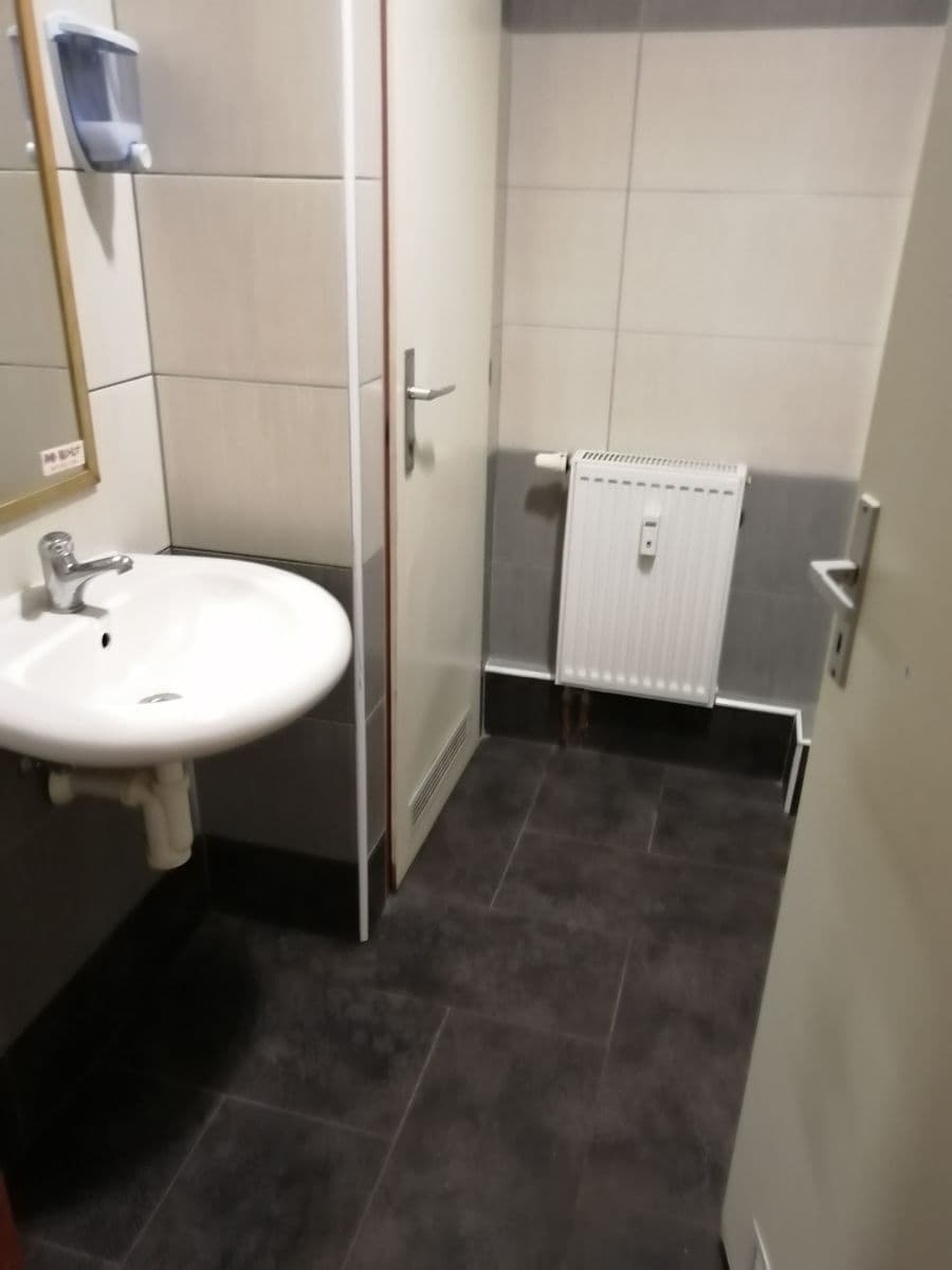 Pronájem nebytového prostoru 167 m², sady 5. května, Plzeň, Plzeňský kraj Pronájem nebytového prostoru 167 m², sady 5. května, Plzeň, Plzeňský kraj