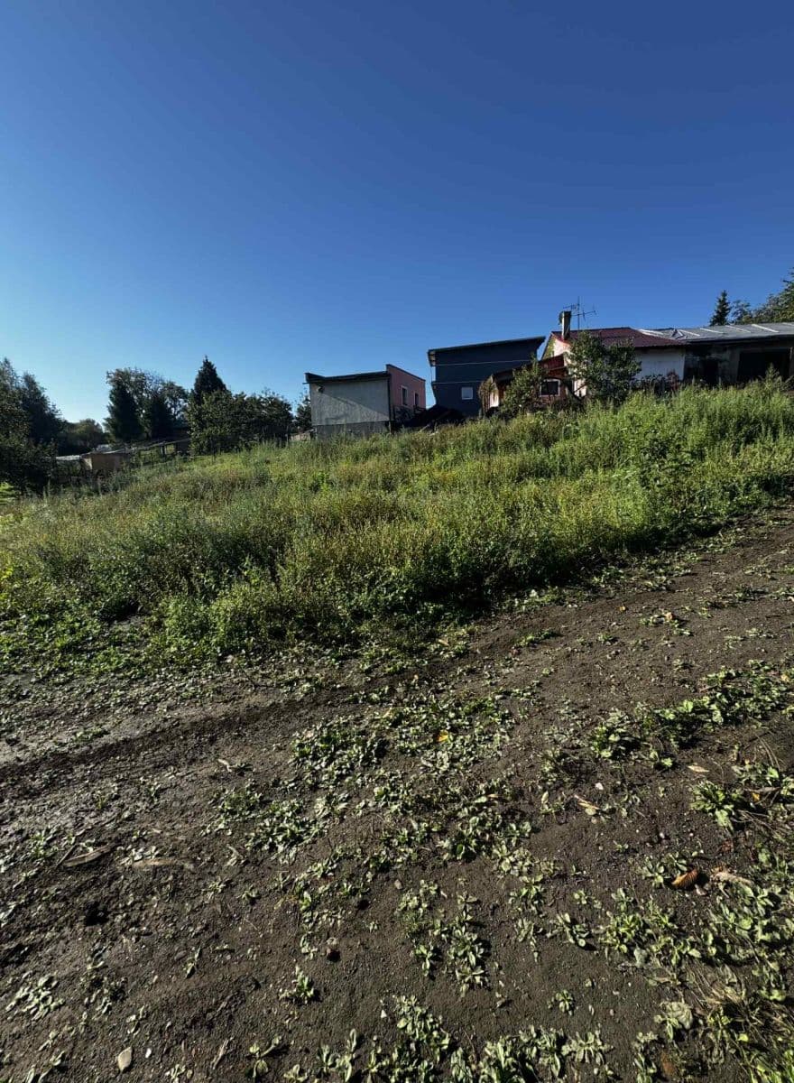 Prodej domu 185 m², pozemek 3.902 m², Stará, Havířov, Moravskoslezský kraj Prodej domu 185 m², pozemek 3.902 m², Stará, Havířov, Moravskoslezský kraj