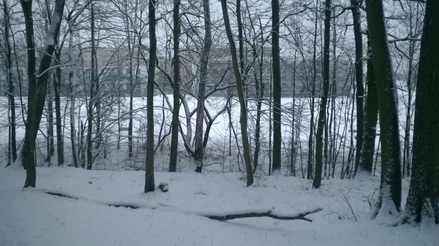 Prodej bytu 4+kk 115 m², Vrbovecká, Brno, Jihomoravský kraj Prodej bytu 4+kk 115 m², Vrbovecká, Brno, Jihomoravský kraj