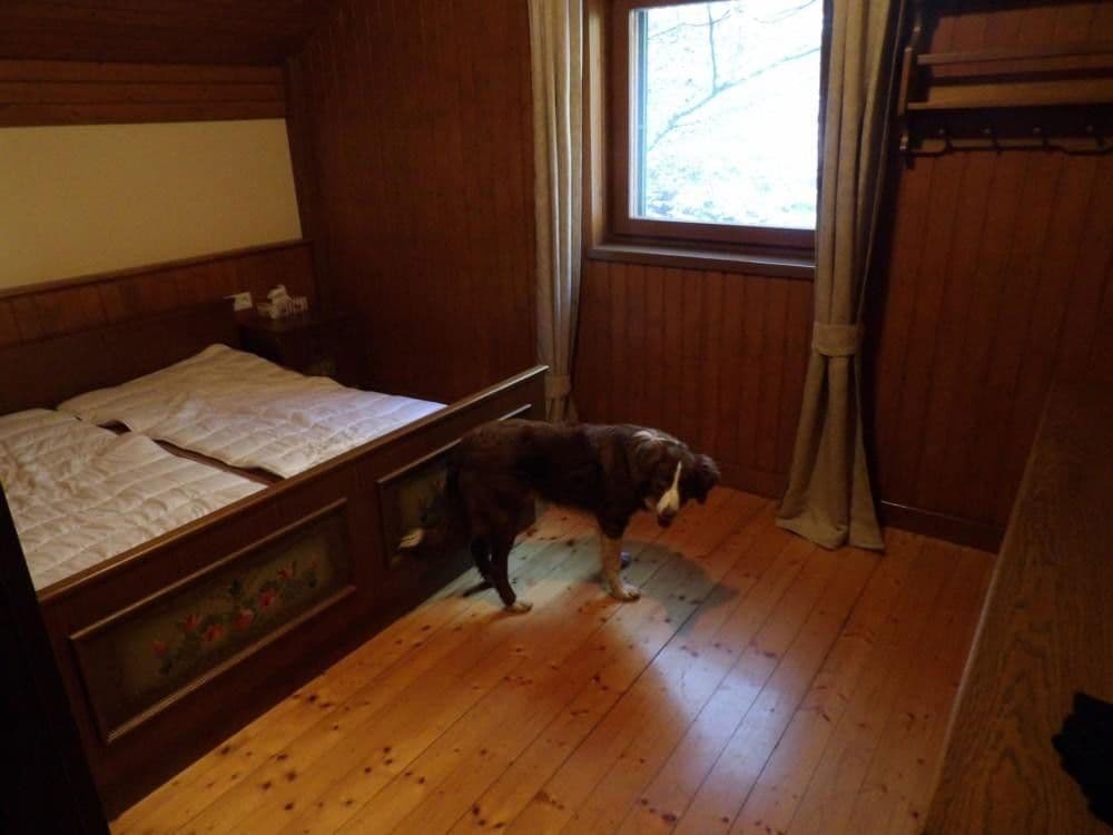 Prodej domu 107 m², pozemek 300 m², Stanz im Mürztal, Štýrsko Prodej domu 107 m², pozemek 300 m², Stanz im Mürztal, Štýrsko