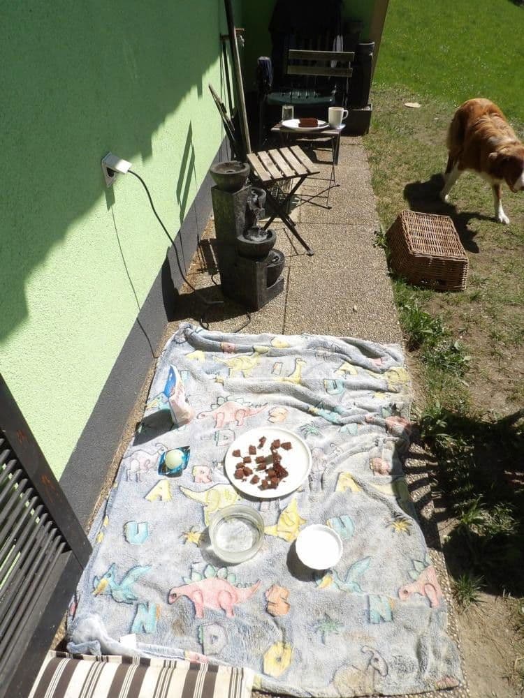 Prodej domu 107 m², pozemek 300 m², Stanz im Mürztal, Štýrsko Prodej domu 107 m², pozemek 300 m², Stanz im Mürztal, Štýrsko