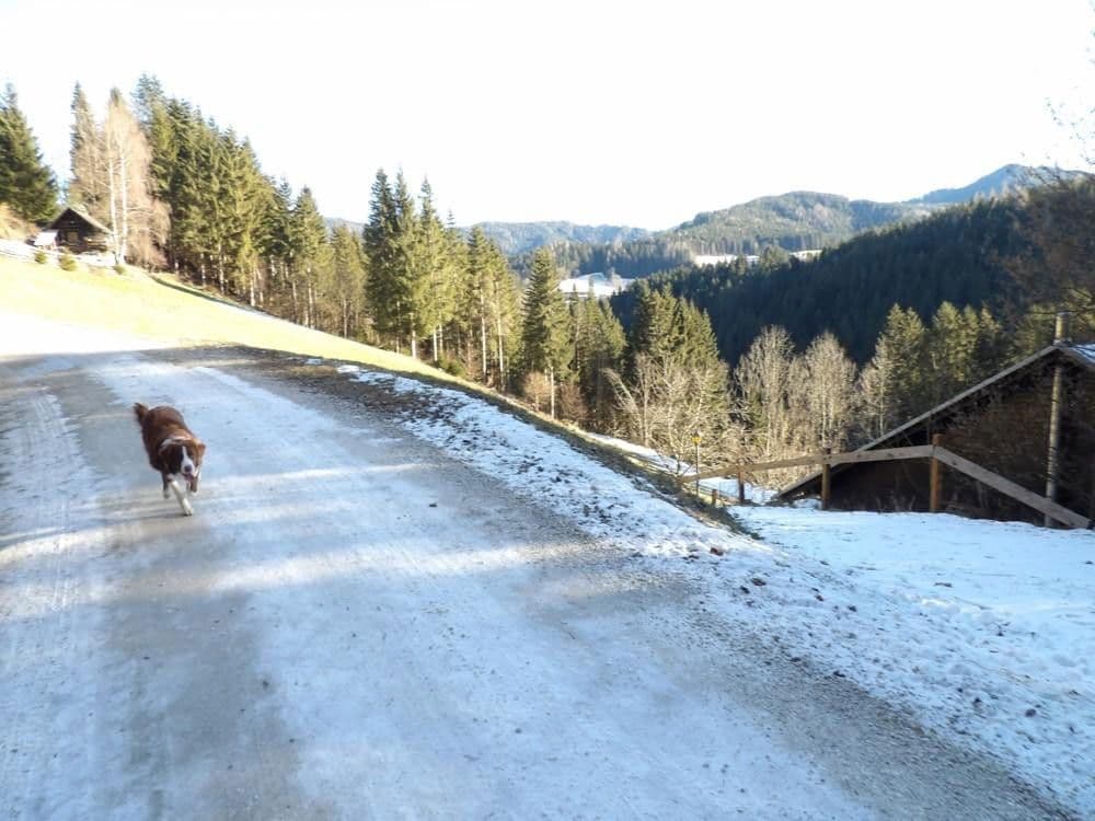 Prodej domu 107 m², pozemek 300 m², Stanz im Mürztal, Štýrsko Prodej domu 107 m², pozemek 300 m², Stanz im Mürztal, Štýrsko