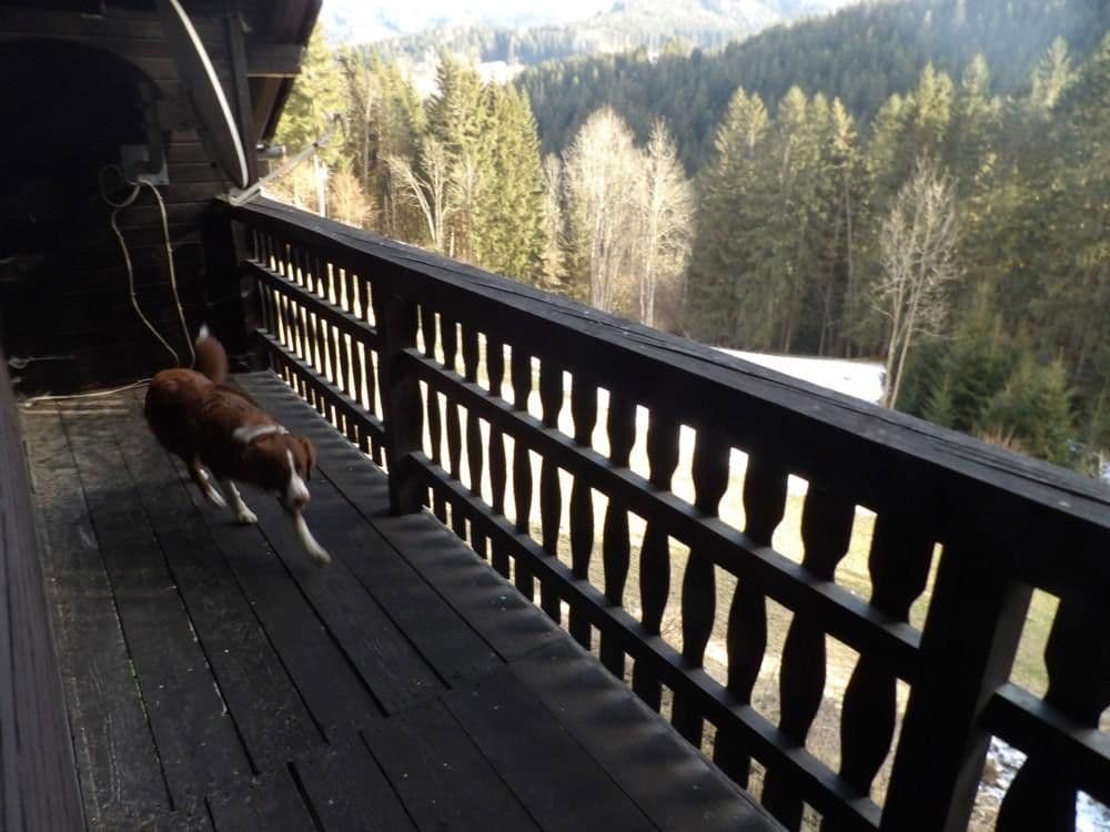 Prodej domu 107 m², pozemek 300 m², Stanz im Mürztal, Štýrsko Prodej domu 107 m², pozemek 300 m², Stanz im Mürztal, Štýrsko