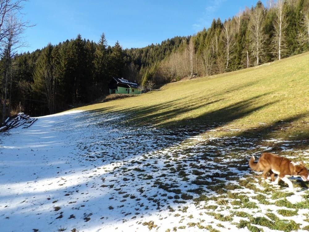 Prodej domu 107 m², pozemek 300 m², Stanz im Mürztal, Štýrsko Prodej domu 107 m², pozemek 300 m², Stanz im Mürztal, Štýrsko