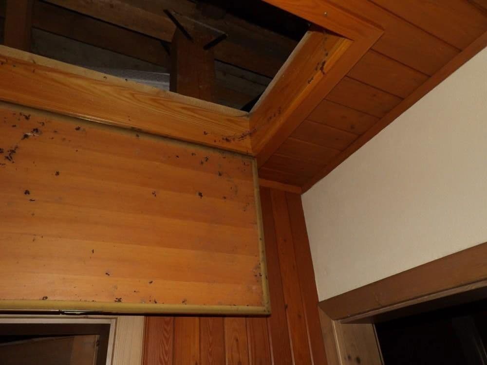 Prodej domu 107 m², pozemek 300 m², Stanz im Mürztal, Štýrsko Prodej domu 107 m², pozemek 300 m², Stanz im Mürztal, Štýrsko