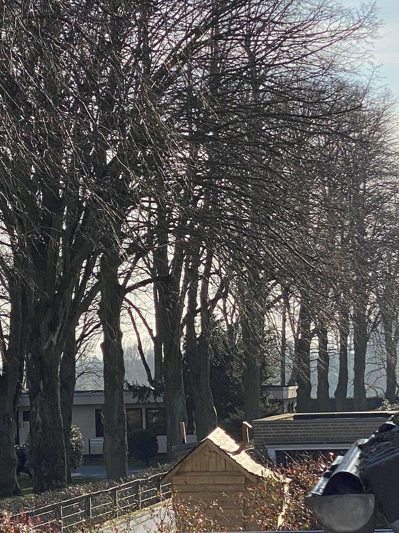 Pronájem domu 157 m², pozemek 150 m², Düsseldorf, Severní Porýní-Vestfálsko Pronájem domu 157 m², pozemek 150 m², Düsseldorf, Severní Porýní-Vestfálsko