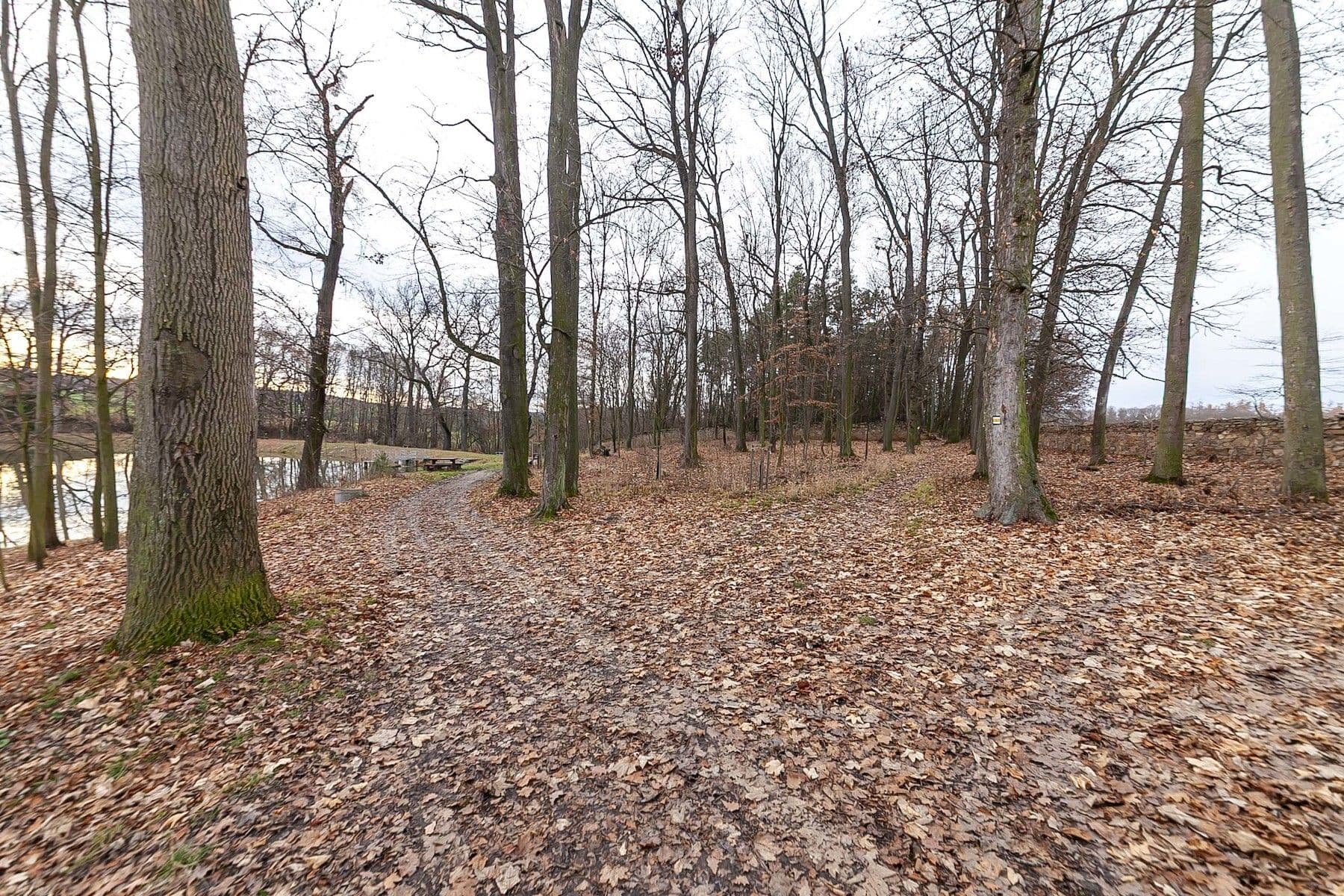 Prodej domu 100 m², pozemek 460 m², Pod Chaloupky, Zásmuky, Středočeský kraj Prodej domu 100 m², pozemek 460 m², Pod Chaloupky, Zásmuky, Středočeský kraj