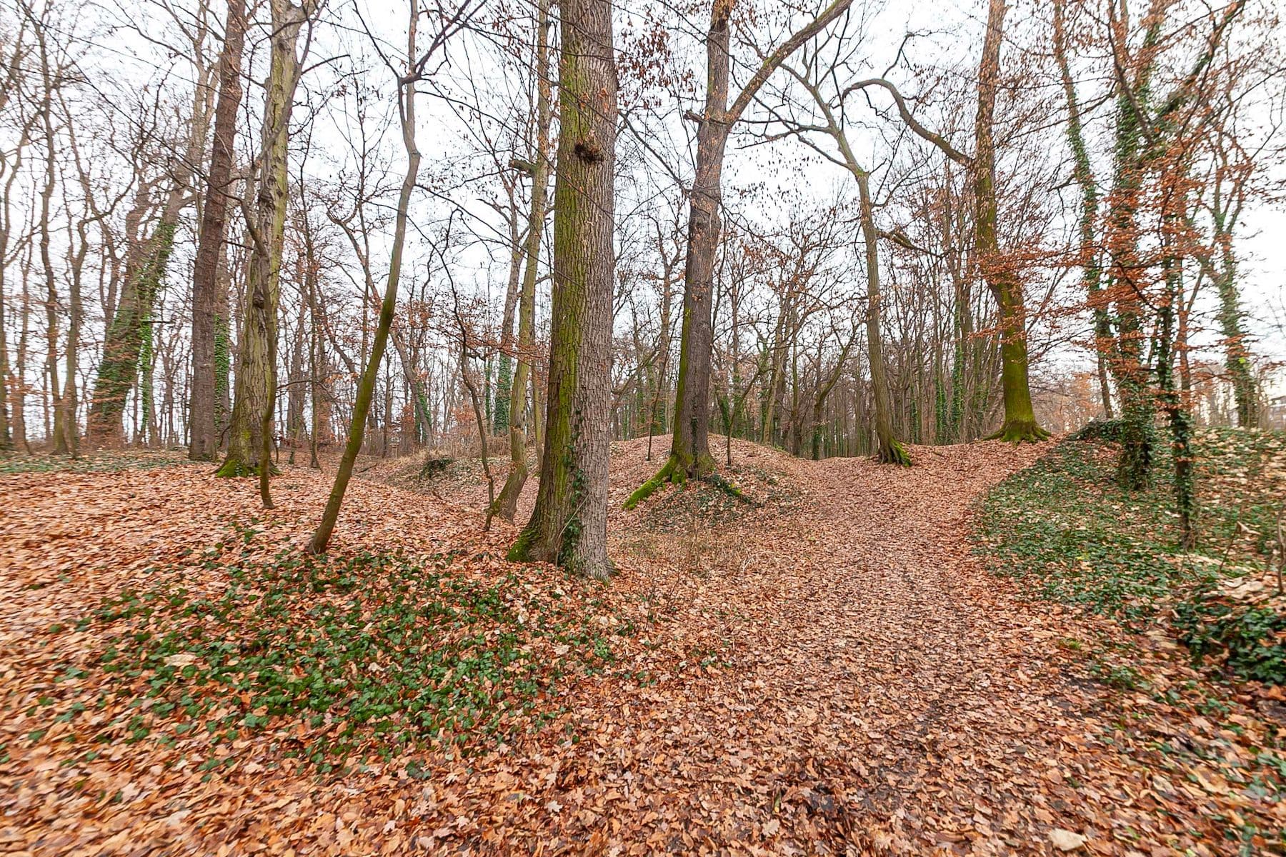 Prodej domu 100 m², pozemek 460 m², Pod Chaloupky, Zásmuky, Středočeský kraj Prodej domu 100 m², pozemek 460 m², Pod Chaloupky, Zásmuky, Středočeský kraj