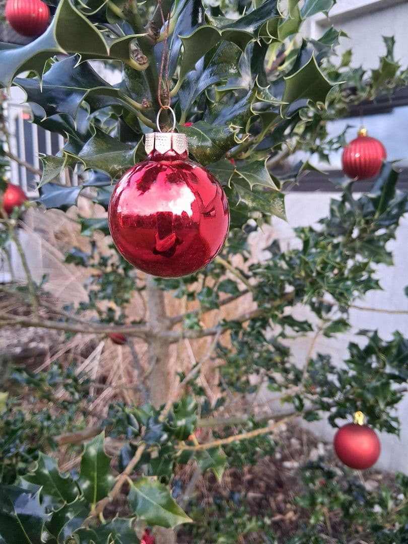 Prodej bytu 2+1 54 m², Hagen, Hohenlimburg, Severní Porýní-Vestfálsko Prodej bytu 2+1 54 m², Hagen, Hohenlimburg, Severní Porýní-Vestfálsko