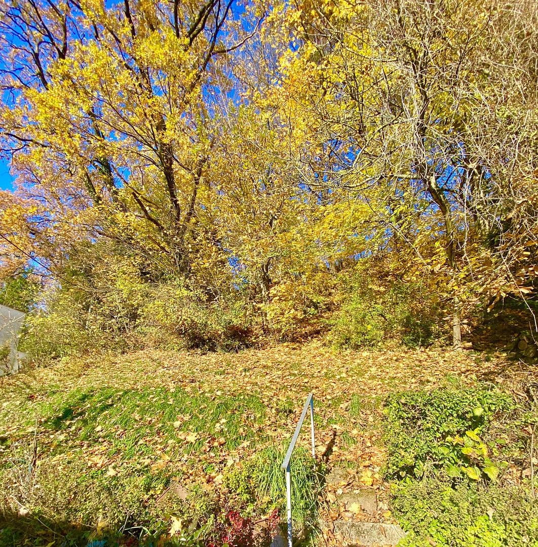 Prodej domu 125 m², pozemek 866 m², Obere Zeiselbergstraße 23, Schwäbisch Gmünd, Bádensko-Württembersko Prodej domu 125 m², pozemek 866 m², Obere Zeiselbergstraße 23, Schwäbisch Gmünd, Bádensko-Württembersko