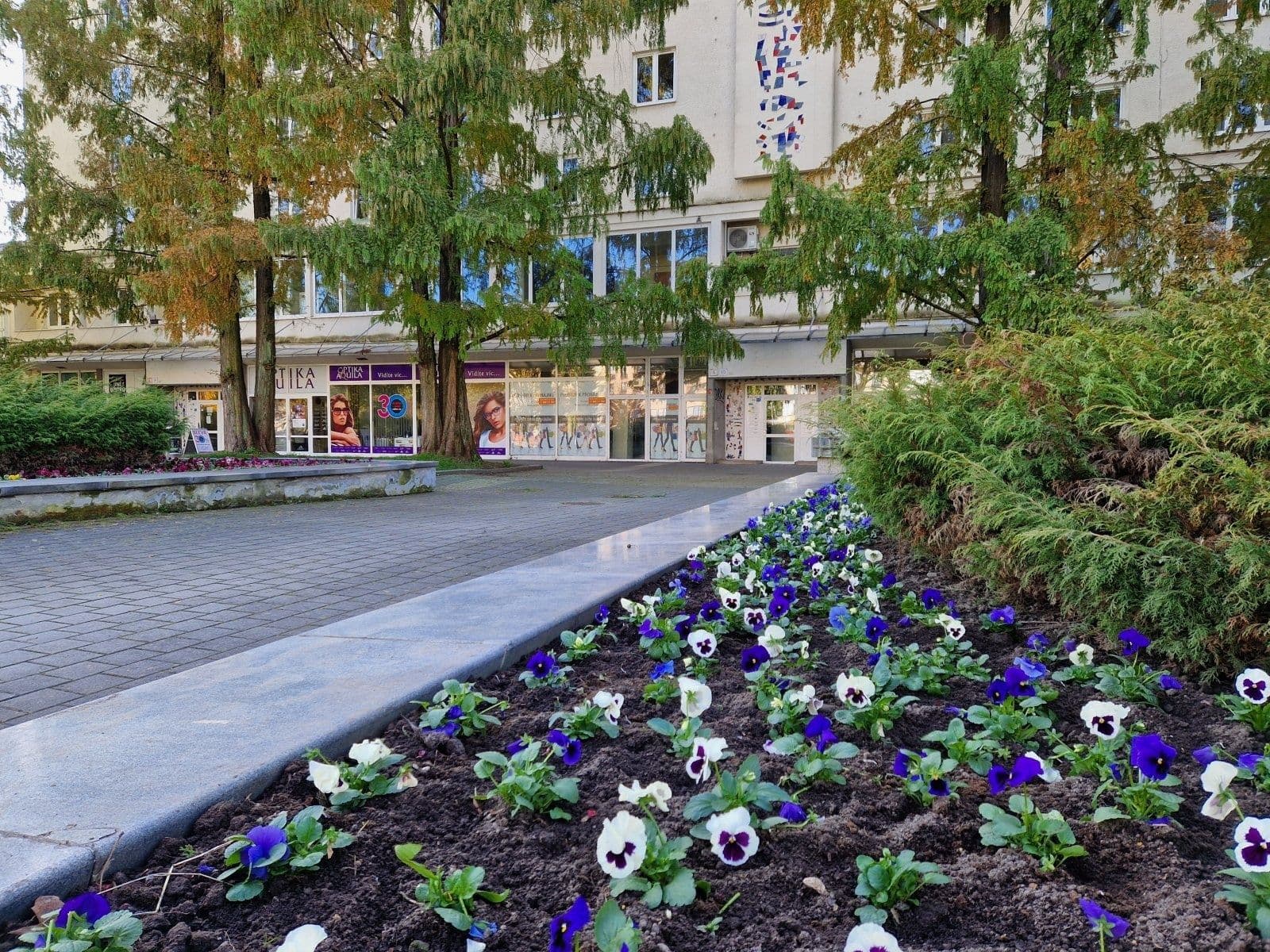 Pronájem nebytového prostoru 66 m², nám. Republiky, Havířov, Moravskoslezský kraj Pronájem nebytového prostoru 66 m², nám. Republiky, Havířov, Moravskoslezský kraj