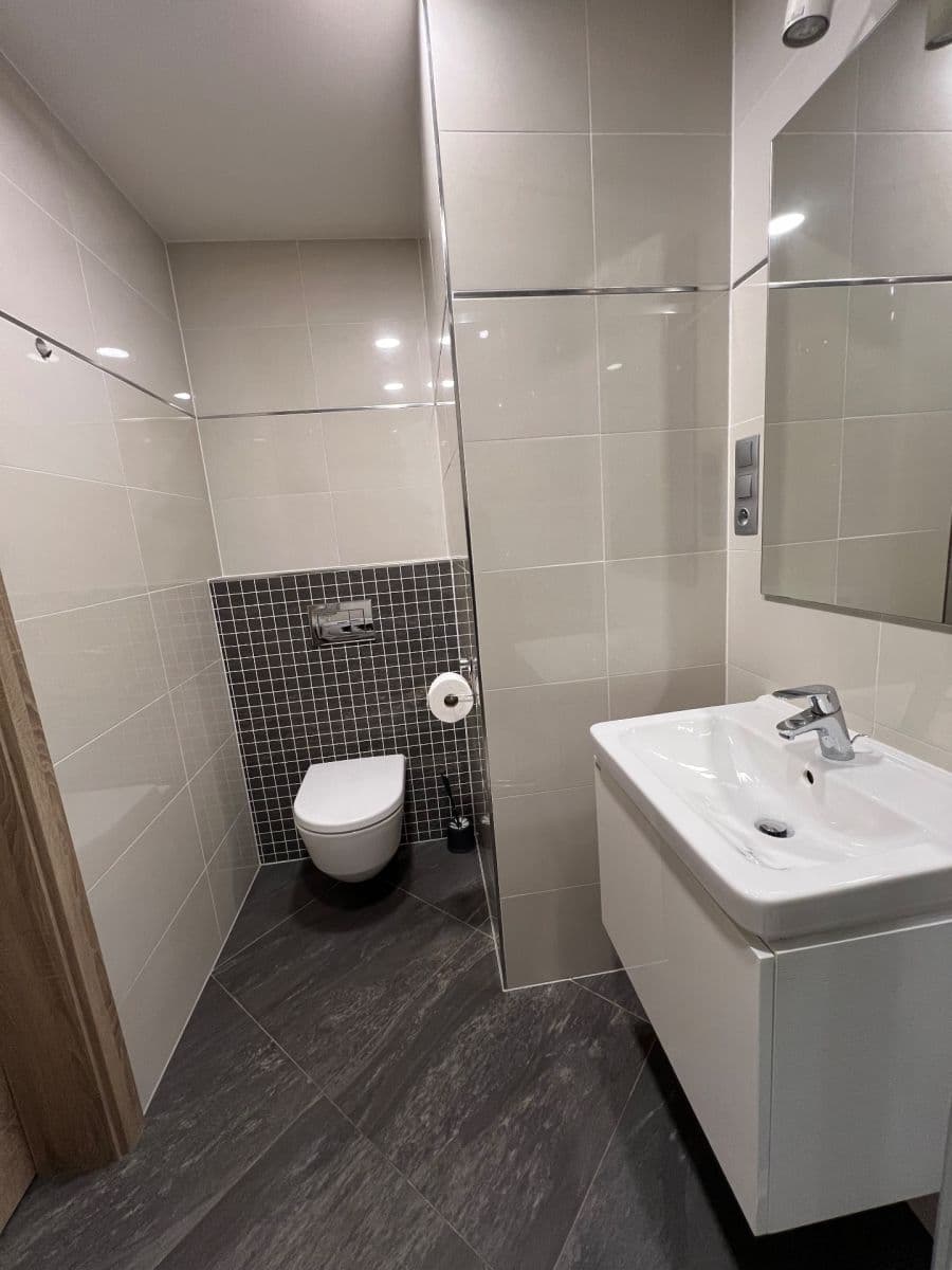Pronájem bytu 1+kk 29 m², Bassova, Praha, Praha Pronájem bytu 1+kk 29 m², Bassova, Praha, Praha