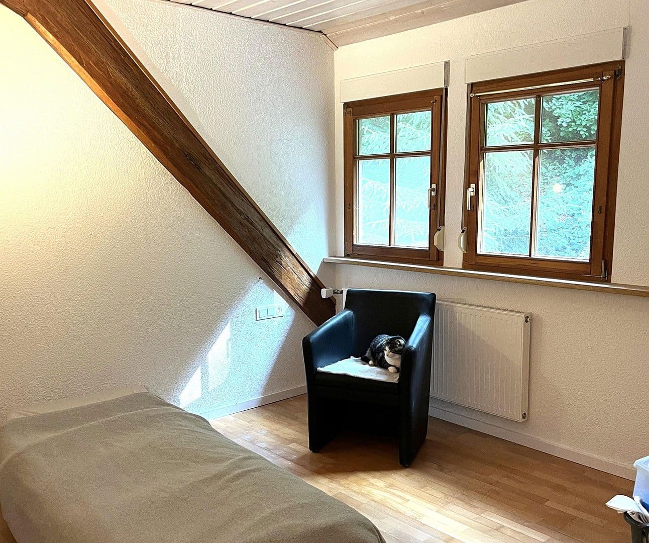 Prodej domu 263 m², pozemek 17.301 m², Wildschapbachstraße 6, Bad Rippoldsau-Schapbach, Bádensko-Württembersko Prodej domu 263 m², pozemek 17.301 m², Wildschapbachstraße 6, Bad Rippoldsau-Schapbach, Bádensko-Württembersko