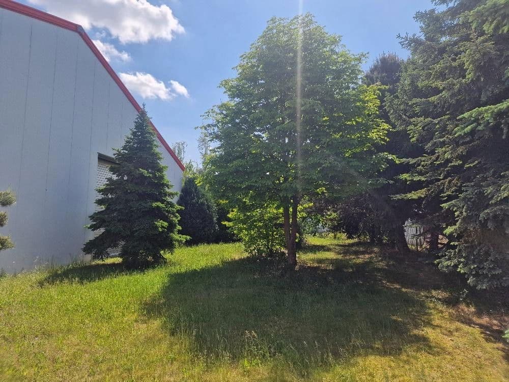 Pronájem nebytového prostoru 3.217 m², Ahornstr. 9, Trebbin, Braniborsko Pronájem nebytového prostoru 3.217 m², Ahornstr. 9, Trebbin, Braniborsko