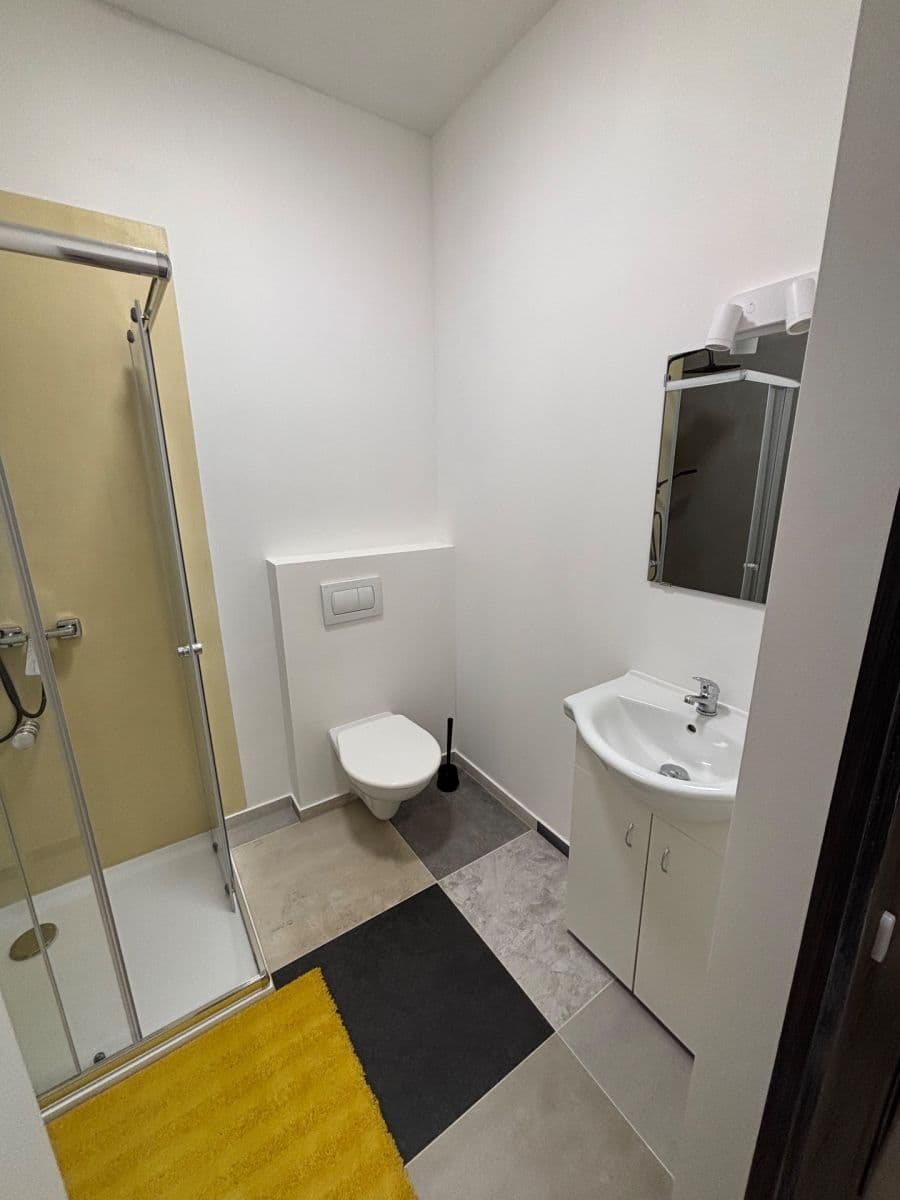 Pronájem bytu 2+kk 52 m², Čejkova, Brno, Jihomoravský kraj Pronájem bytu 2+kk 52 m², Čejkova, Brno, Jihomoravský kraj