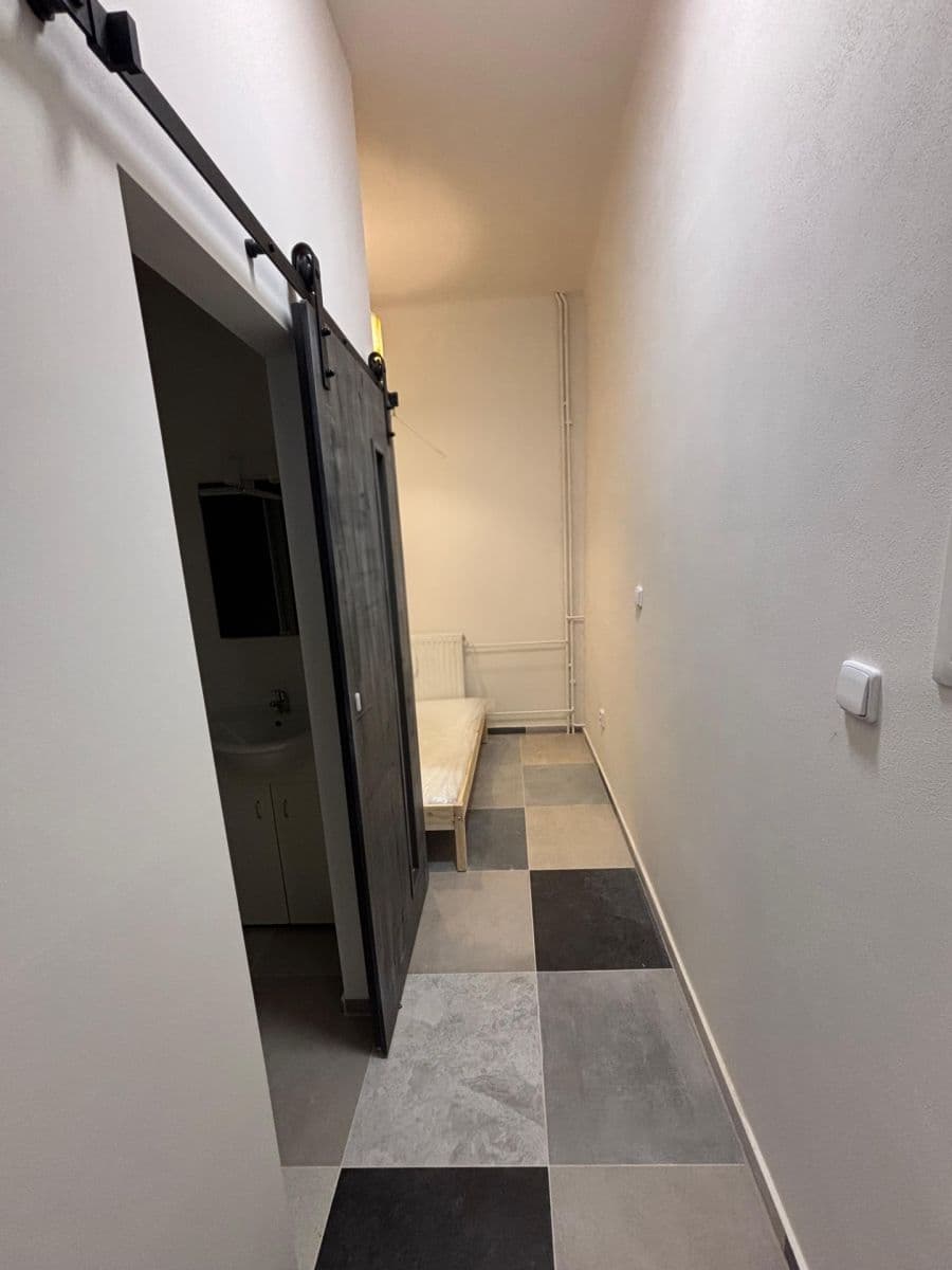 Pronájem bytu 2+kk 52 m², Čejkova, Brno, Jihomoravský kraj Pronájem bytu 2+kk 52 m², Čejkova, Brno, Jihomoravský kraj