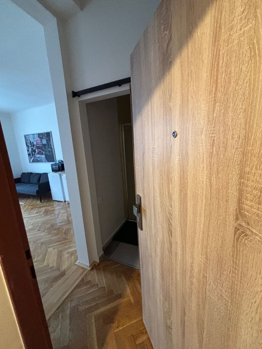 Pronájem bytu 2+kk 59 m², Čejkova, Brno, Jihomoravský kraj Pronájem bytu 2+kk 59 m², Čejkova, Brno, Jihomoravský kraj