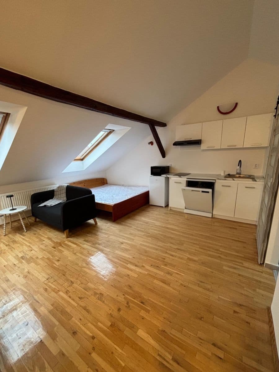Pronájem bytu 1+kk 62 m², Čejkova, Brno, Jihomoravský kraj Pronájem bytu 1+kk 62 m², Čejkova, Brno, Jihomoravský kraj