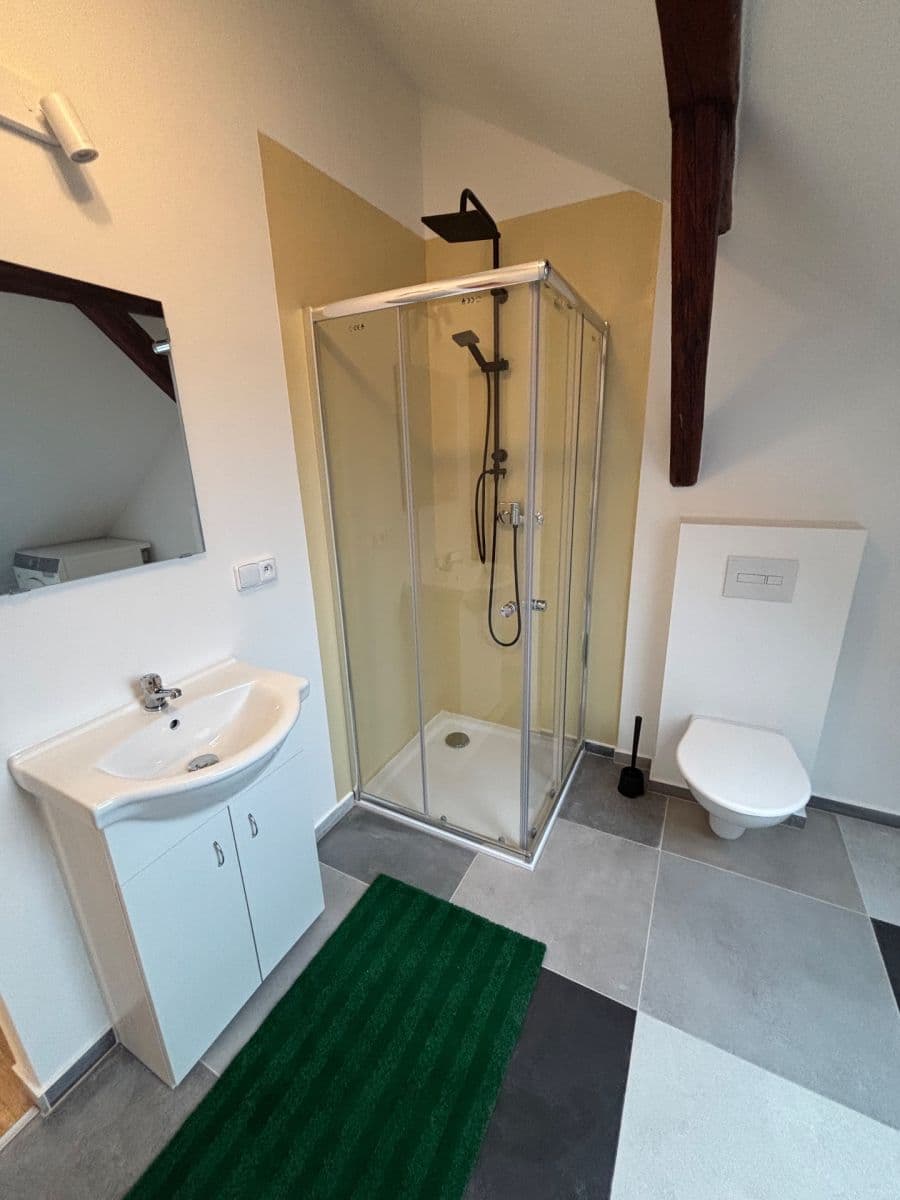 Pronájem bytu 1+kk 62 m², Čejkova, Brno, Jihomoravský kraj Pronájem bytu 1+kk 62 m², Čejkova, Brno, Jihomoravský kraj