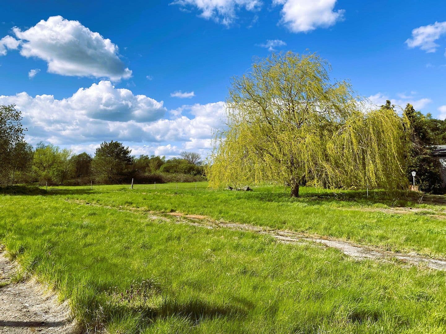 Prodej domu 720 m², pozemek 20.000 m², Dassow, Mecklenburg-Vorpommern Prodej domu 720 m², pozemek 20.000 m², Dassow, Mecklenburg-Vorpommern