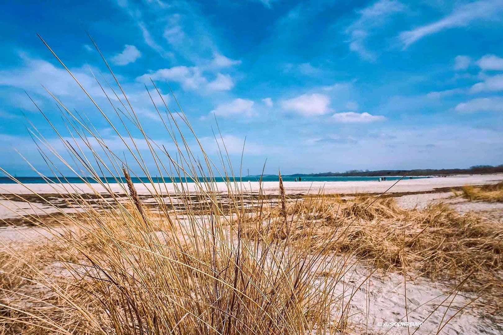 Prodej domu 720 m², pozemek 20.000 m², Dassow, Mecklenburg-Vorpommern Prodej domu 720 m², pozemek 20.000 m², Dassow, Mecklenburg-Vorpommern