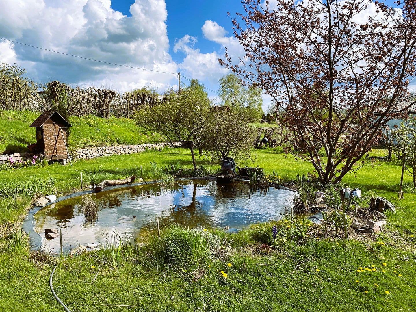 Prodej domu 720 m², pozemek 20.000 m², Dassow, Mecklenburg-Vorpommern Prodej domu 720 m², pozemek 20.000 m², Dassow, Mecklenburg-Vorpommern