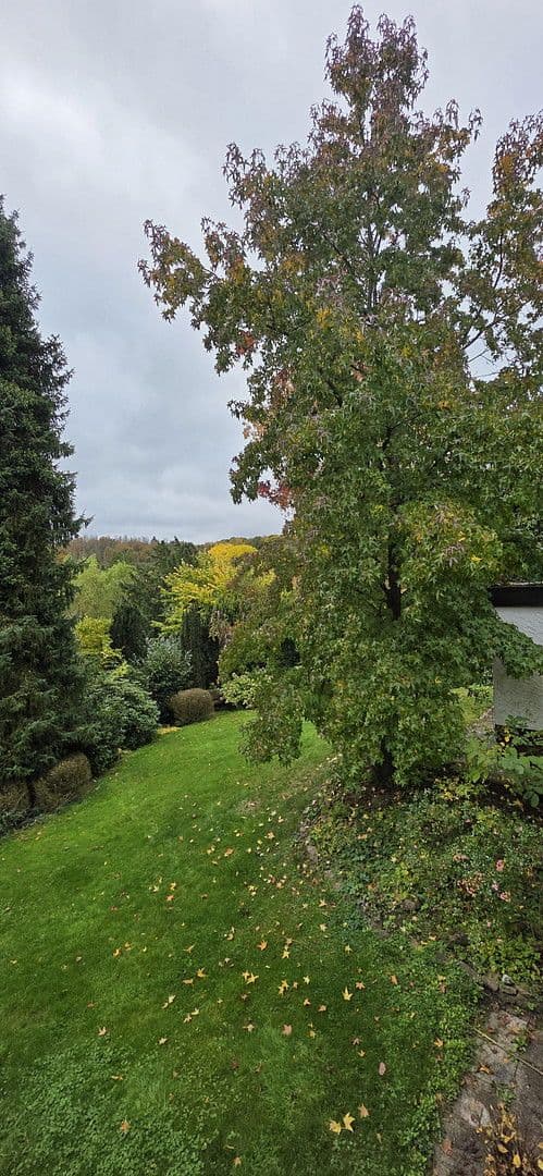 Prodej domu 250 m², pozemek 1.200 m², Rosenstr.4, Breitscheid, Porýní-Falc Prodej domu 250 m², pozemek 1.200 m², Rosenstr.4, Breitscheid, Porýní-Falc