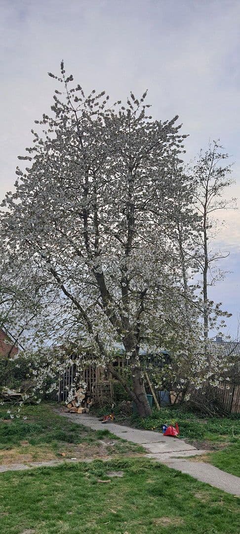 Prodej domu 140 m², pozemek 1.604 m², Wurster Nordseeküste, Dolní Sasko Prodej domu 140 m², pozemek 1.604 m², Wurster Nordseeküste, Dolní Sasko