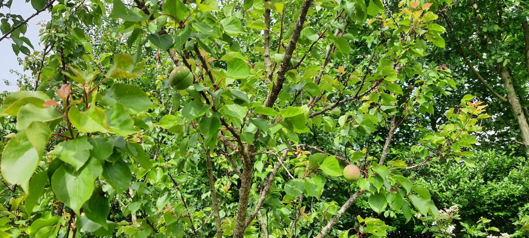 Prodej domu 140 m², pozemek 1.604 m², Wurster Nordseeküste, Dolní Sasko Prodej domu 140 m², pozemek 1.604 m², Wurster Nordseeküste, Dolní Sasko