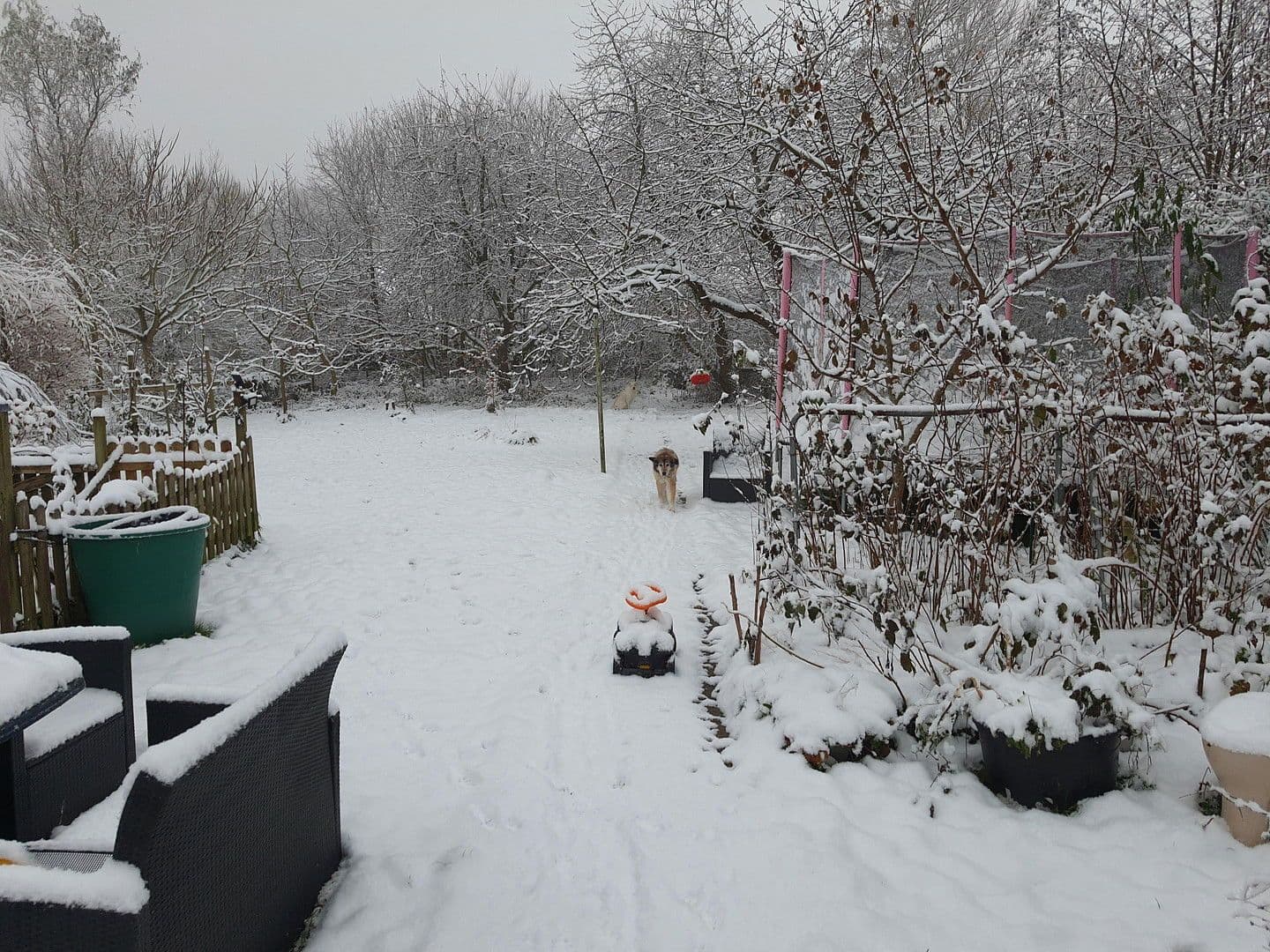 Prodej domu 140 m², pozemek 1.604 m², Wurster Nordseeküste, Dolní Sasko Prodej domu 140 m², pozemek 1.604 m², Wurster Nordseeküste, Dolní Sasko