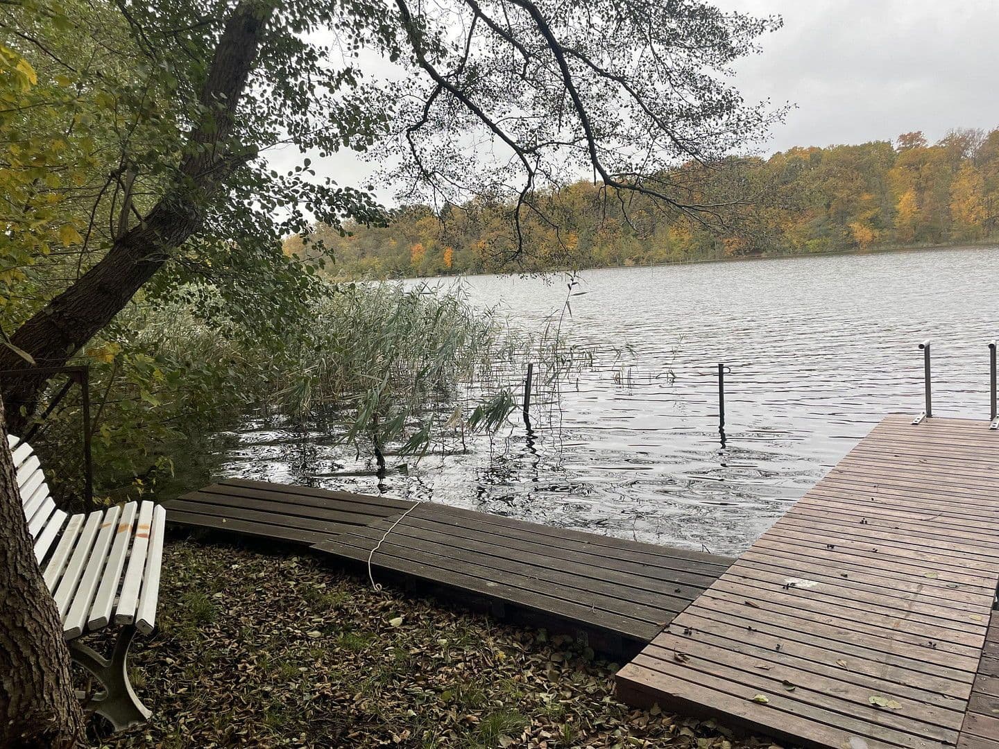 Prodej domu 80 m², pozemek 600 m², Tulpenweg 20, Strausberg, Braniborsko Prodej domu 80 m², pozemek 600 m², Tulpenweg 20, Strausberg, Braniborsko