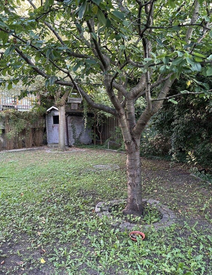 Prodej domu 105 m², pozemek 120 m², Hegelallee 36, Potsdam, Braniborsko Prodej domu 105 m², pozemek 120 m², Hegelallee 36, Potsdam, Braniborsko