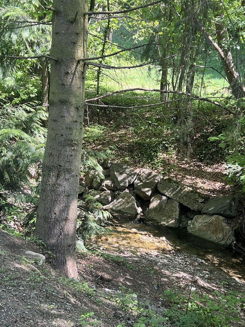 Prodej domu 115 m², pozemek 270 m², Mauerbach, Dolní Rakousko Prodej domu 115 m², pozemek 270 m², Mauerbach, Dolní Rakousko