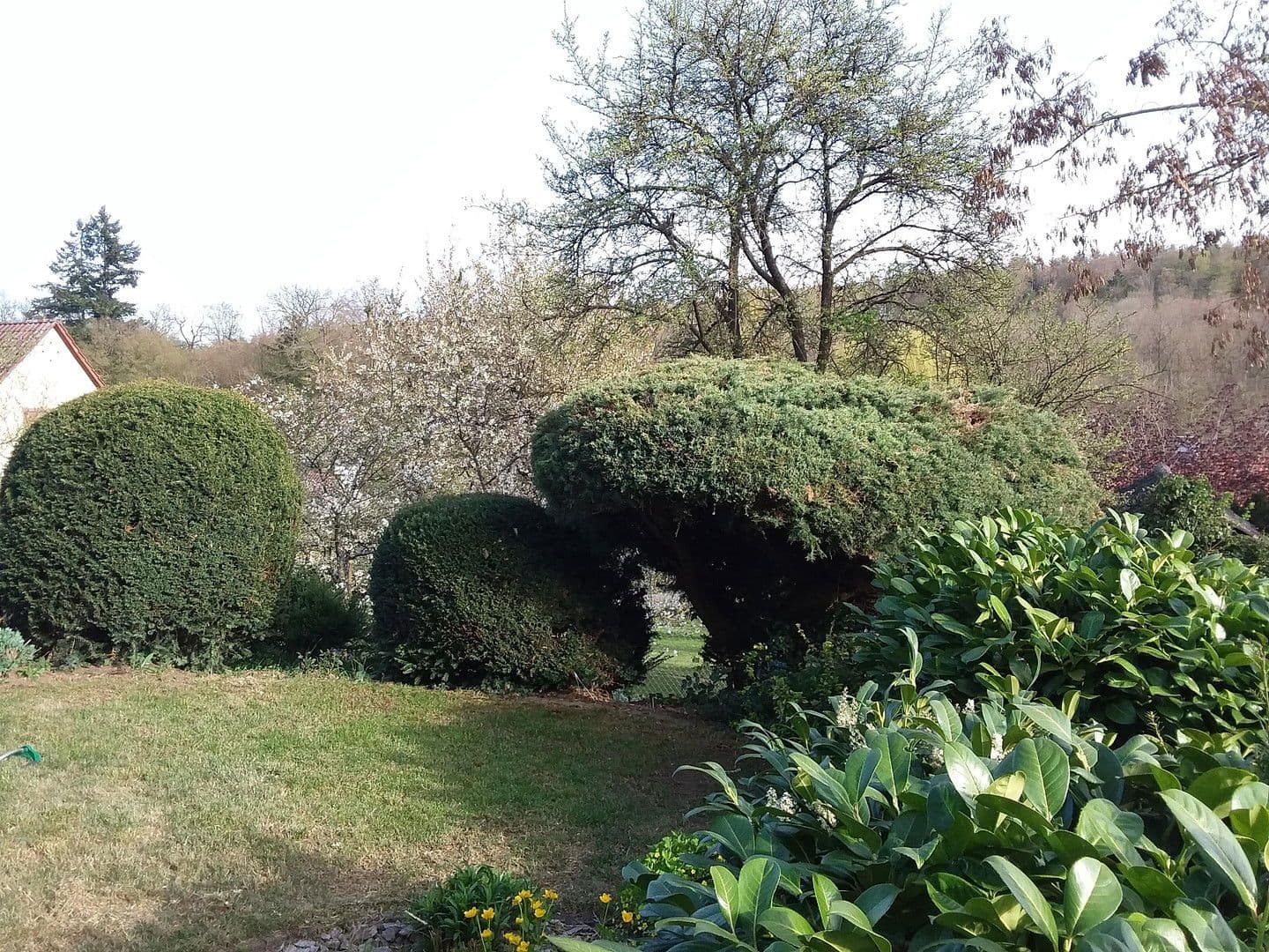 Prodej domu 158 m², pozemek 410 m², Leonberg, Bádensko-Württembersko Prodej domu 158 m², pozemek 410 m², Leonberg, Bádensko-Württembersko