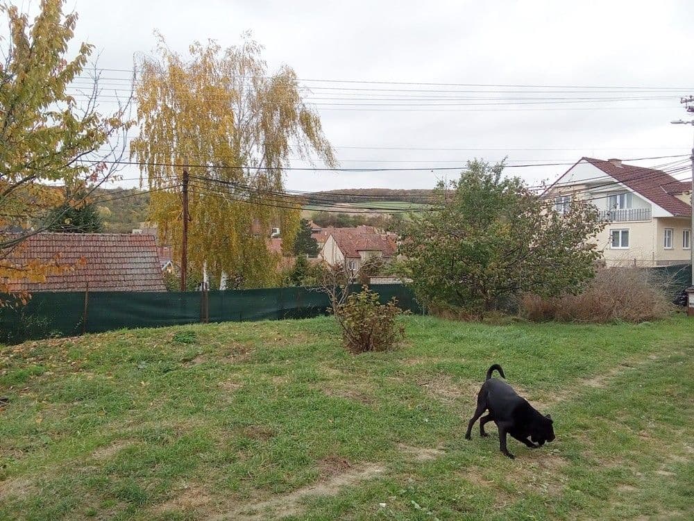 Prodej domu 100 m², pozemek 557 m², Dambořice, Jihomoravský kraj Prodej domu 100 m², pozemek 557 m², Dambořice, Jihomoravský kraj